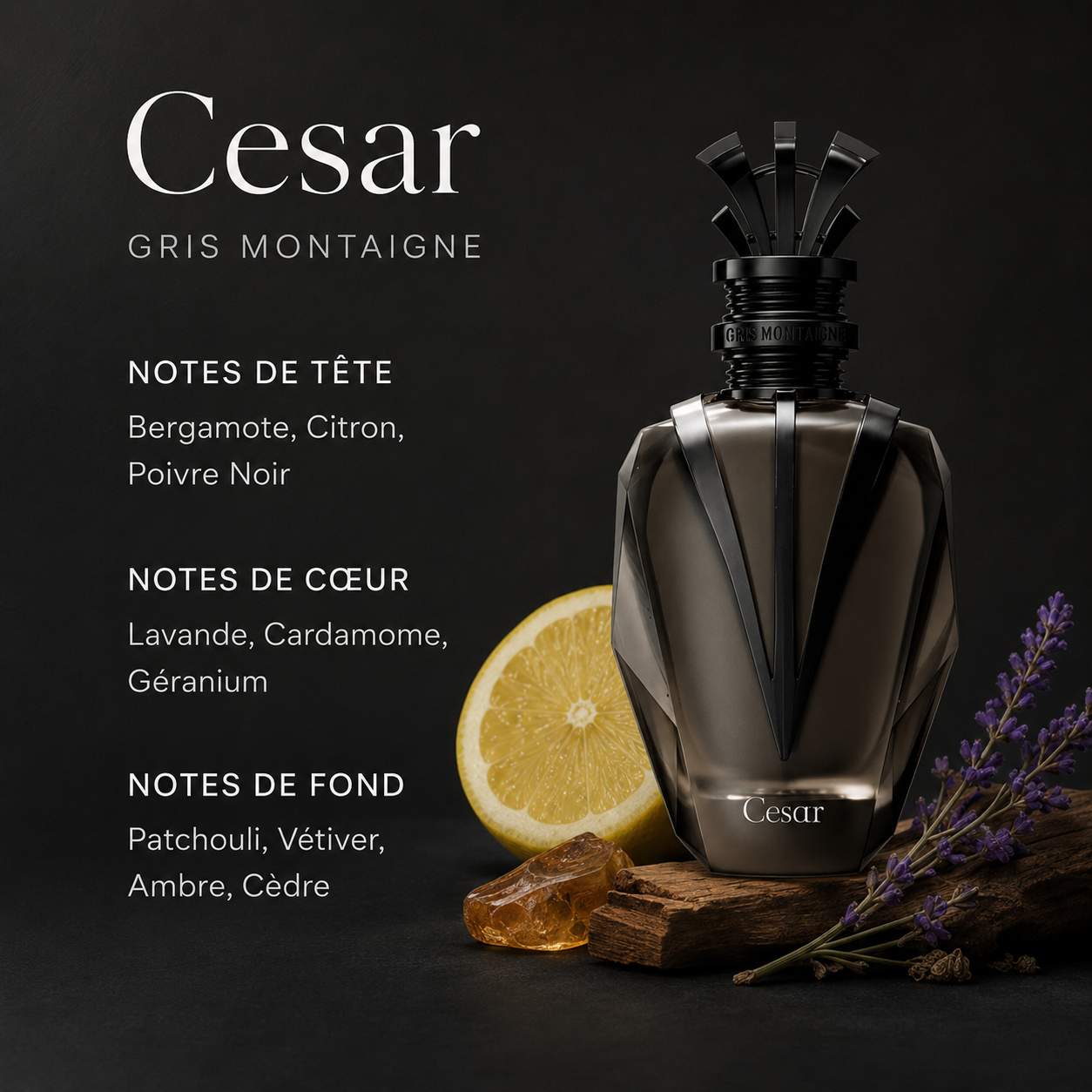 Cesar Gris Montaigne — Parfum Premium Homme